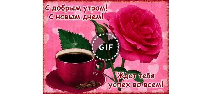 Цветок в горшке уход в домашних условиях 896