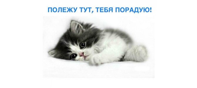 Открытки полежу тут тебя порадую Открытки полежу тут тебя порадую