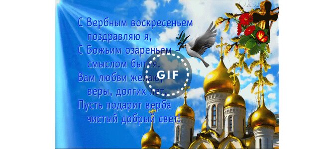 Открытки своими руками цветок в открытке Открытки своими руками цветок в открытке