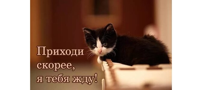 Шаблоны топперов с днем рождения Шаблоны топперов с днем рождения