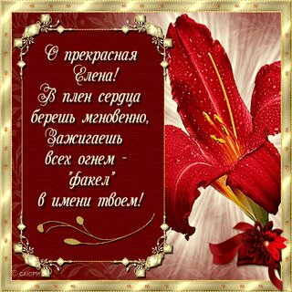 Поздравления с днём ангела елене в стихах красивые 48