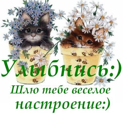 Сценарий химиков Сценарий химиков