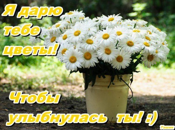 Лучшей куме поздравления Лучшей куме поздравления