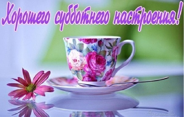 Открытки с субботой прикольные с надписями 21