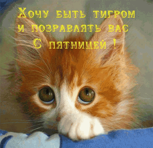 Поздравление мужчине с днем рождения на 70 лет 70