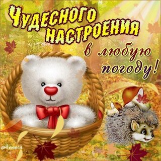 Поздравление на свадьбу с футболками Поздравление на свадьбу с футболками