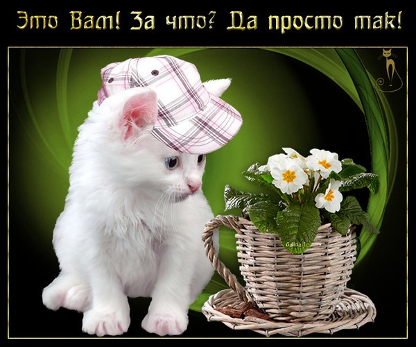 Агния барто твой стих Агния барто твой стих