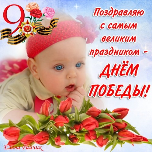 Смешные поздравления с 9 мая Смешные поздравления с 9 мая