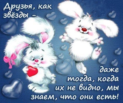 Официальное поздравление с днем рождения в прозе официальное Новогодние стихи для детей на 2018 год Собаки