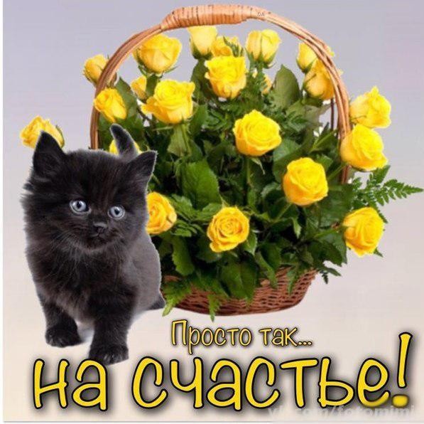 Фото открытки за просто так