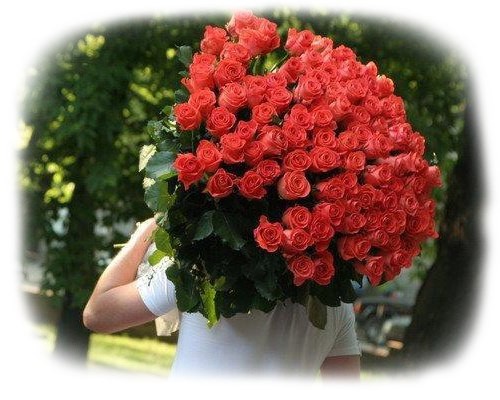 Поздравление 101 роза 57