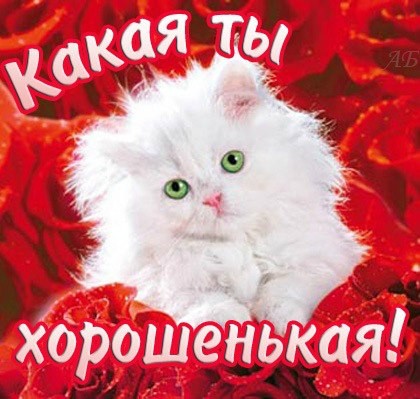 Открытка какой же ты хороший Открытка какой же ты хороший
