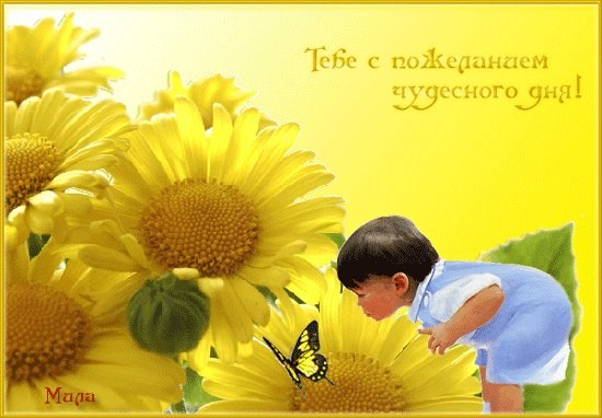 Открытки прекрасного рабочего дня