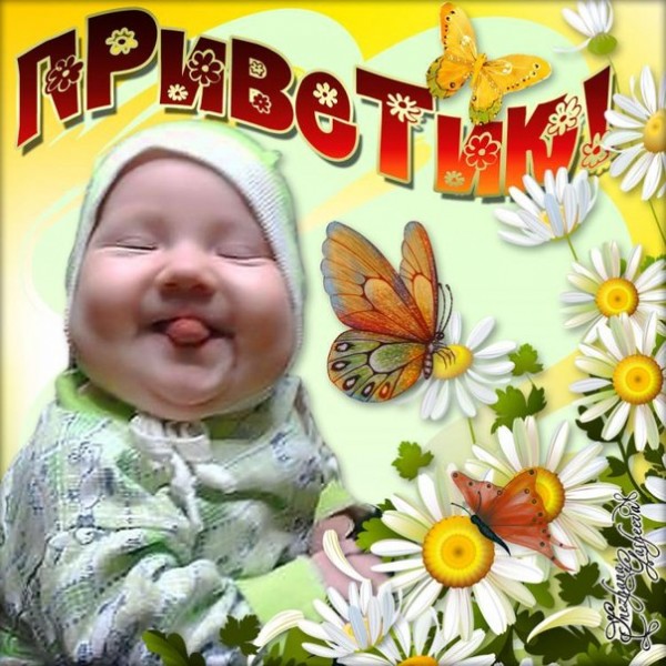 Род теплицы для выращивания овощей плодов и ранней зелени 4