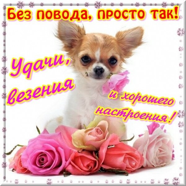 Открытки девушкам просто так от меня Открытки девушкам просто так от меня