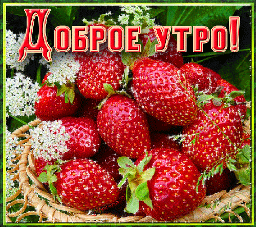 Как клубника дорогой поздравление 30