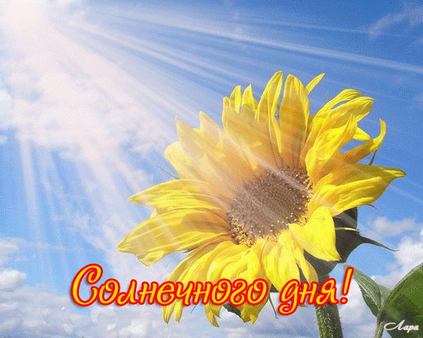 Открытка солнечная 57