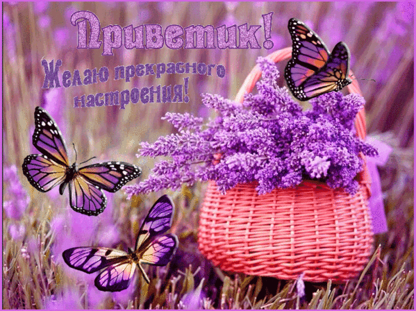Поздравления с 46 летием женщине Поздравления с 46 летием женщине