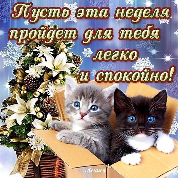 Украшение залов для свадеб своими руками Украшение залов для свадеб своими руками