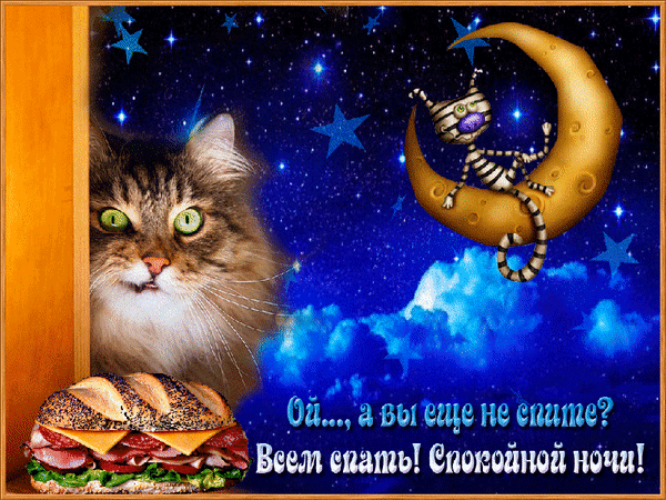 Открытки спокойной ночи для женщины вконтакте 67