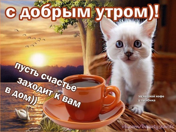 Лучшее пожелание с добрым утром фото Лучшее пожелание с добрым утром фото