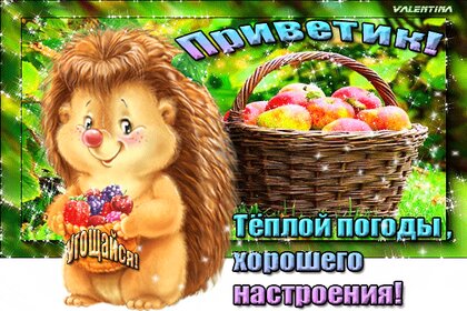 5 причесок от красивых и знаменитых девушек, которые они носят в тренажерный зал рекомендации 5 причесок от красивых и знаменитых девушек, которые они носят в тренажерный зал рекомендации