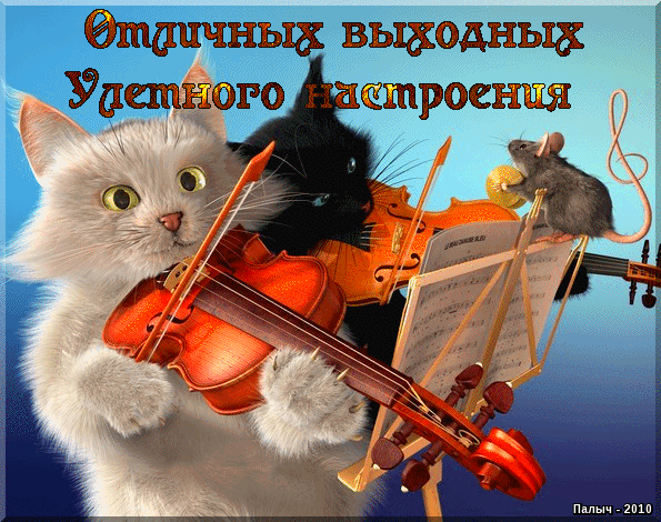 Музыкальное поздравление от кота Музыкальное поздравление от кота