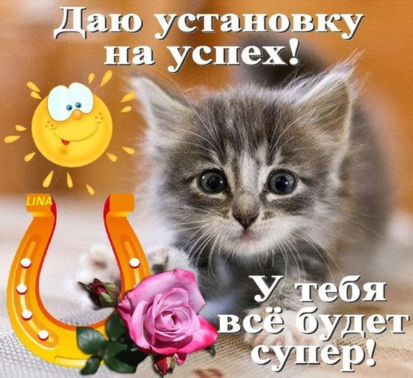 Открытки на успех Открытки на успех