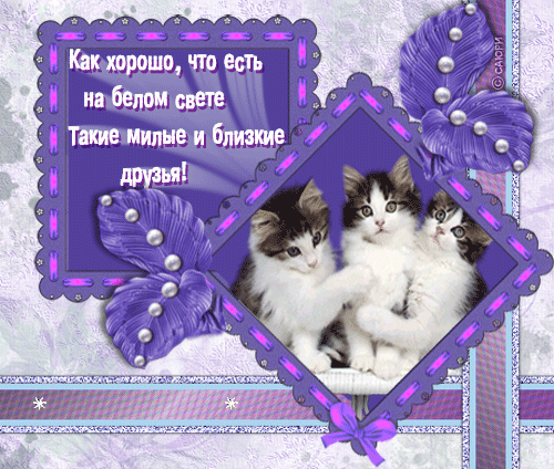Открытки моему милому другу Открытки моему милому другу