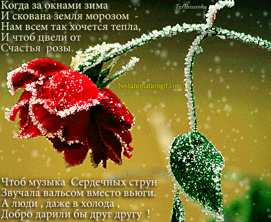 Стих бабушке до слёз Стих бабушке до слёз
