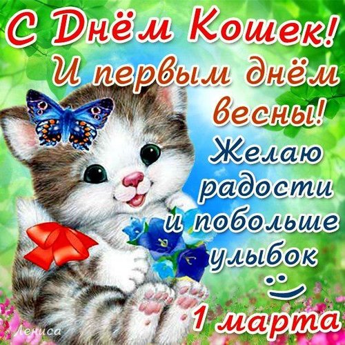 Поздравление с днём кошек Поздравление с днём кошек