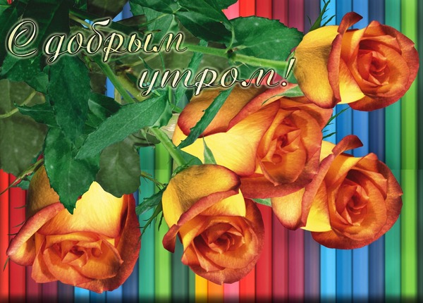 Открытки 65 летием маме 58