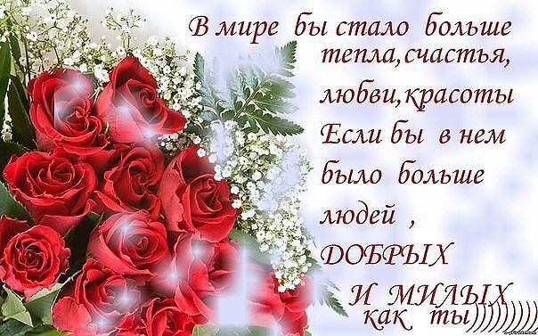 Стих про замечательных женщин Стих про замечательных женщин
