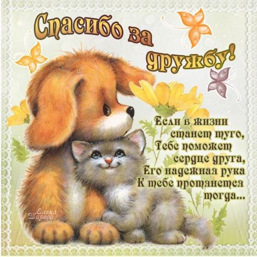 Спасибо за признание Спасибо за признание