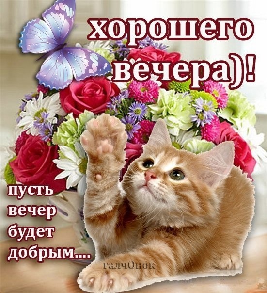 Открытки для девушки с добрым вечером Открытки для девушки с добрым вечером