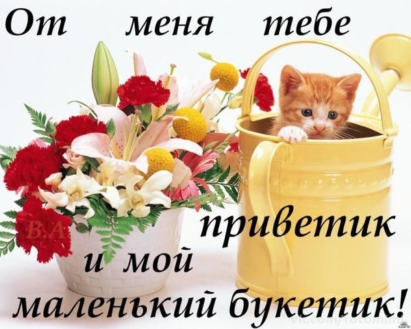 Открытки от меня приветик 14
