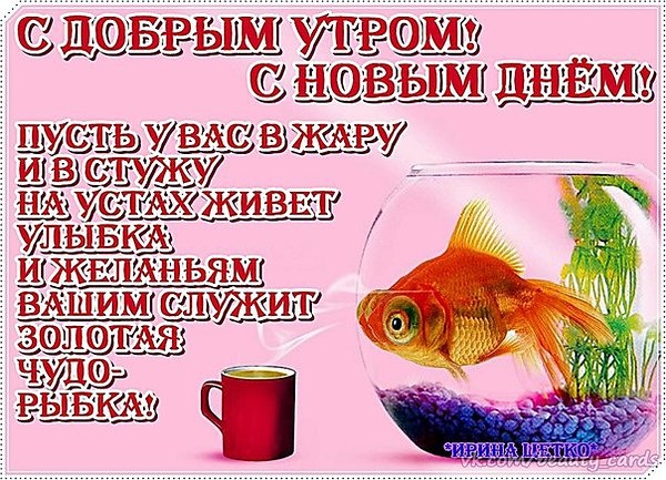Пожелания доброго утра в открытках с юмором 33