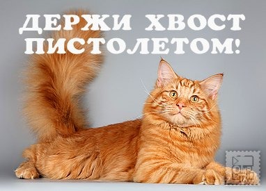 Признание в любви для парня в смс Признание в любви для парня в смс