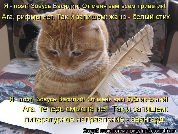 Как сделать добро коту 999