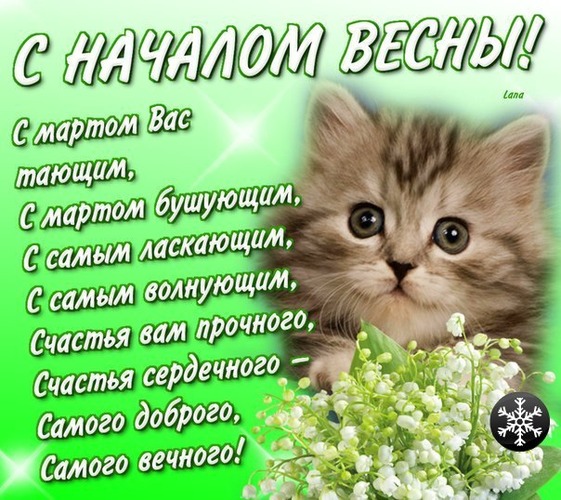 Поздравление лизе на день рождения 33