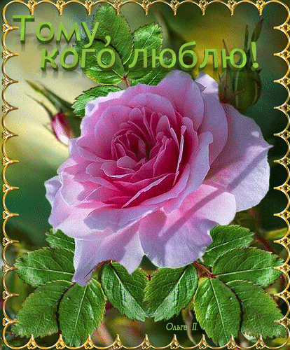 Цветы для оленьки открытка 4