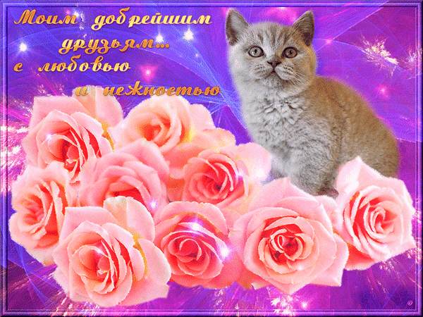 Открытки или картинки мои друзья 568