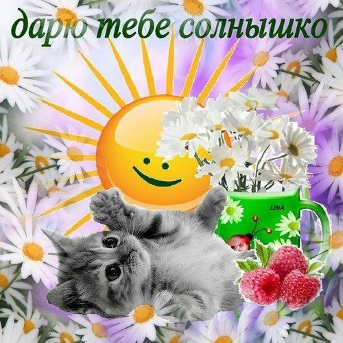 Открытки хорошего дня моё солнышко Открытки хорошего дня моё солнышко