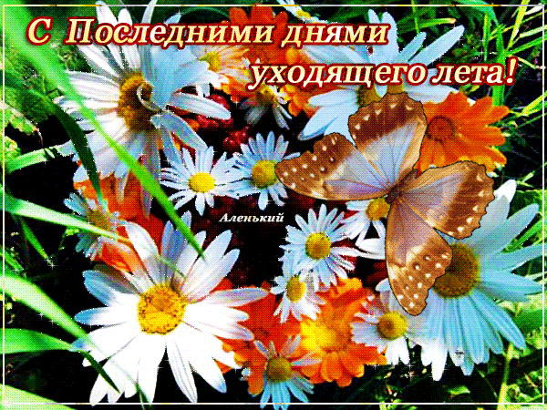 Последний день уходящего года открытки 782