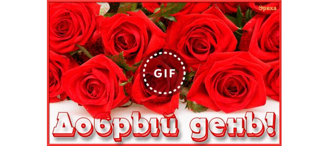 Розы Тане Картинки