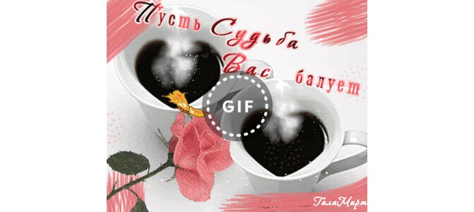 Девушка с шарами. Стихи о женщине прикольные. Спасибо вам за теплоту общения. Девушка в сердце. Судьба балует.