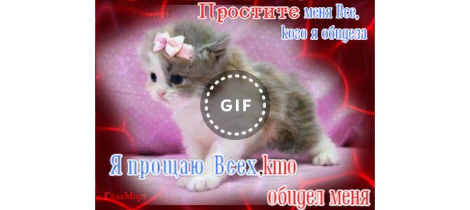 Открытка прости меня моя подруга, мебели открытками