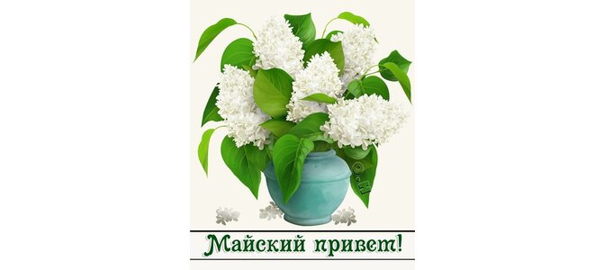 Гифы майский привет