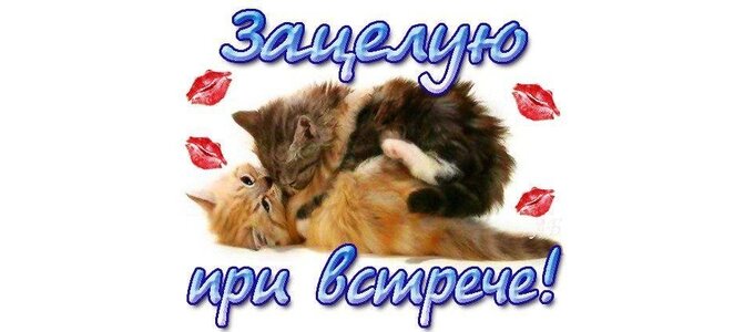 Зацелую при встрече картинки