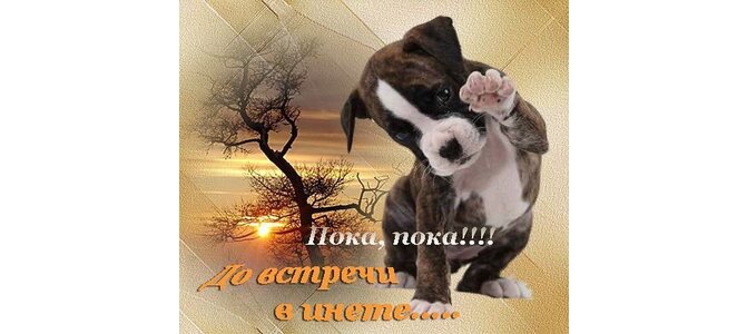 Открытки пока до связи, поздравлением ивана купала